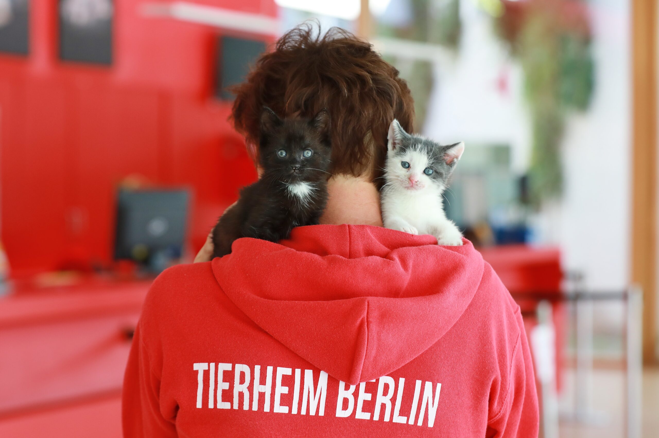 Berlin Tierheim gefördert von TAO Stiftung (HugoundBernd)