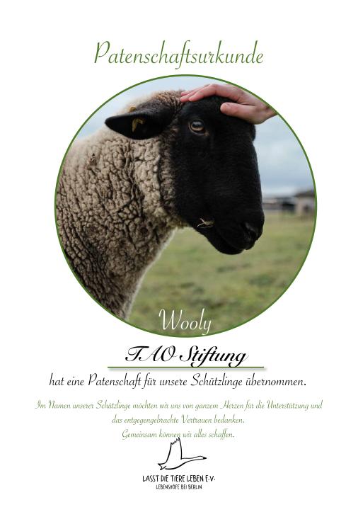 Wooly - Tierpatenschaft lasst die Tiere leben - TAO Stiftung