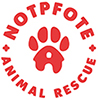Notpfote Animal Rescue e.V. Auswahl geeigneter Tiere