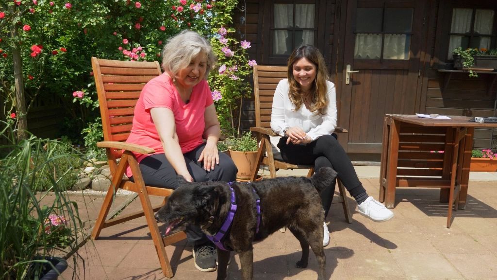BESTBUDDIES – Vermittlung von Hunden an Senioren BESTBUDDIES - Vermittlung von Hunden an Senioren